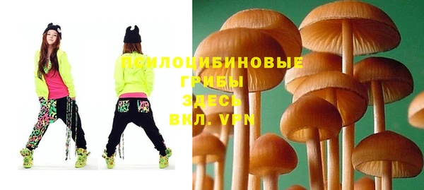 эйфоретик Беломорск