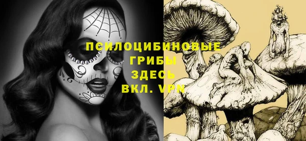 соль ск Белокуриха
