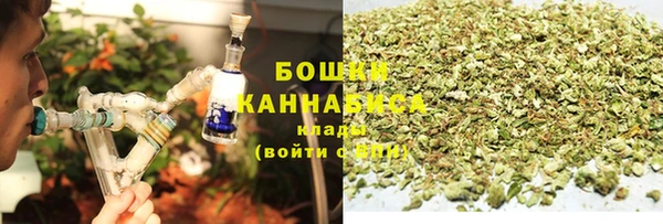 соль ск Белокуриха