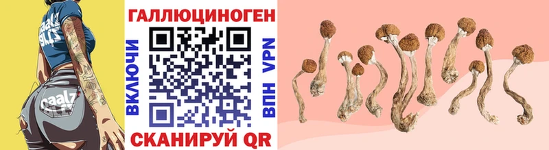 даркнет сайт  Наро-Фоминск  мориарти Telegram  Галлюциногенные грибы Psilocybe 