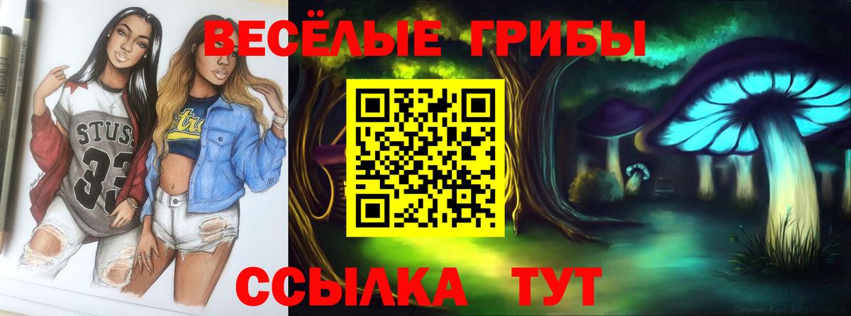 Наро-Фоминск  Галлюциногенные грибы ЛСД  Галлюциногенные грибы Psilocybine cubensis  Вход с VPN 